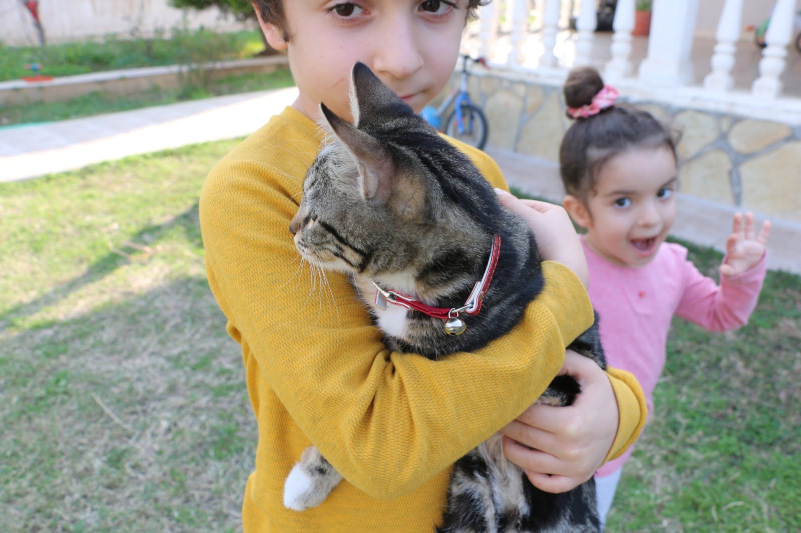 YAVRU KEDI BICIRIK ICIN KAYMAKAM VE GENEL SEKRETER YARDIMCISI SEFERBER OLDU 6